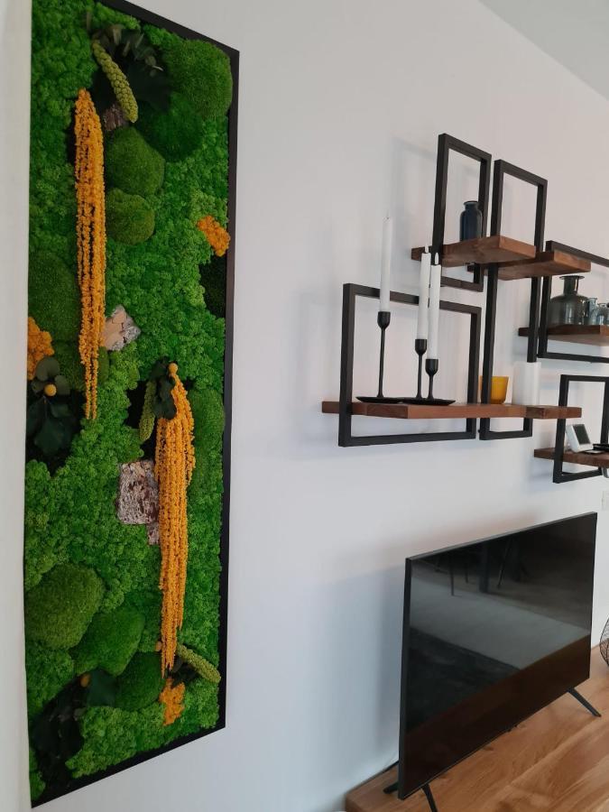 Tonic Coresi Apartment *